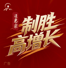 制胜高增长